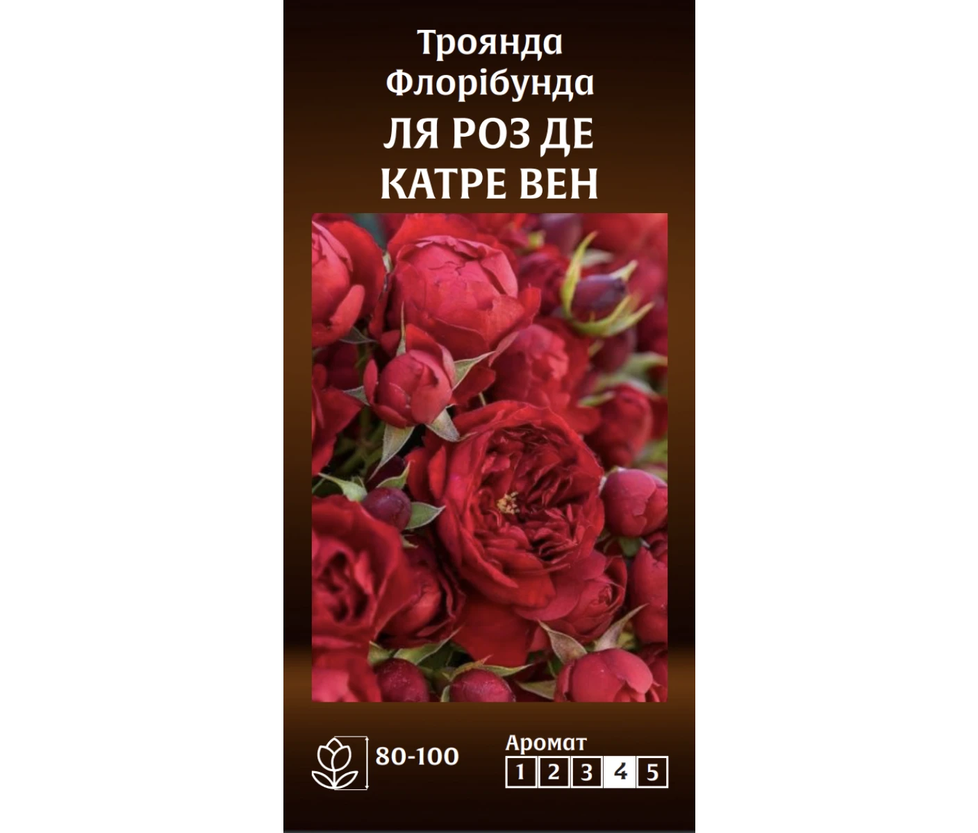 Знімок екрана 2025-03-18 090025