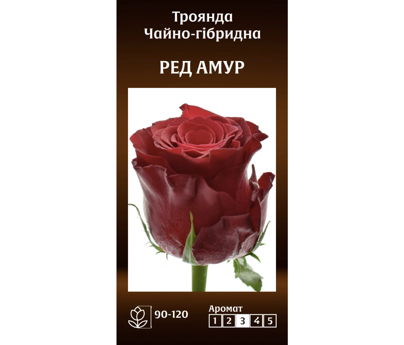Знімок екрана 2025-03-18 081830
