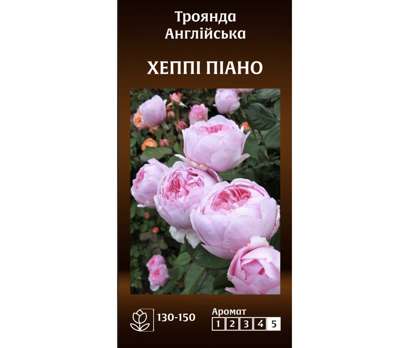 Знімок екрана 2025-03-18 093210