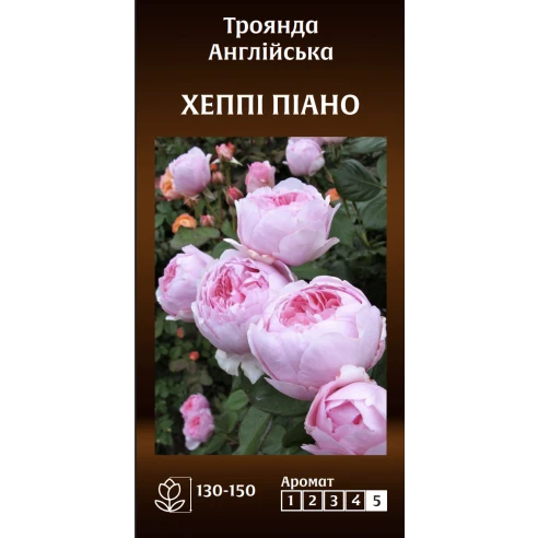 Англійська Хеппі Піано