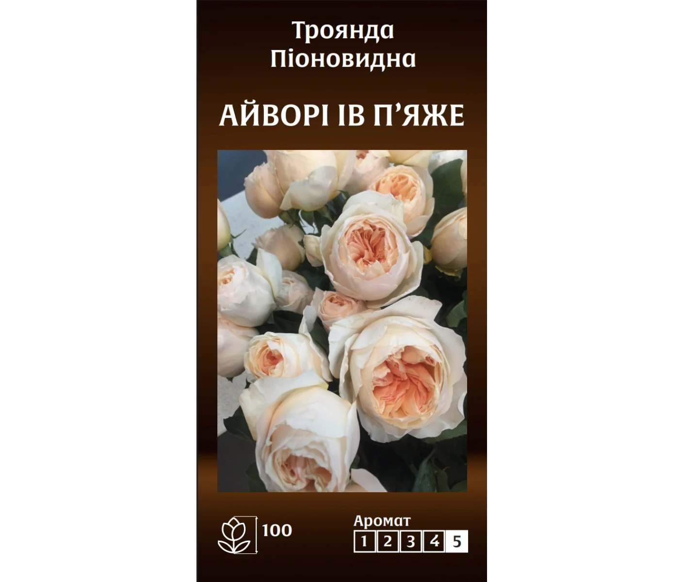 Знімок екрана 2025-03-18 092310