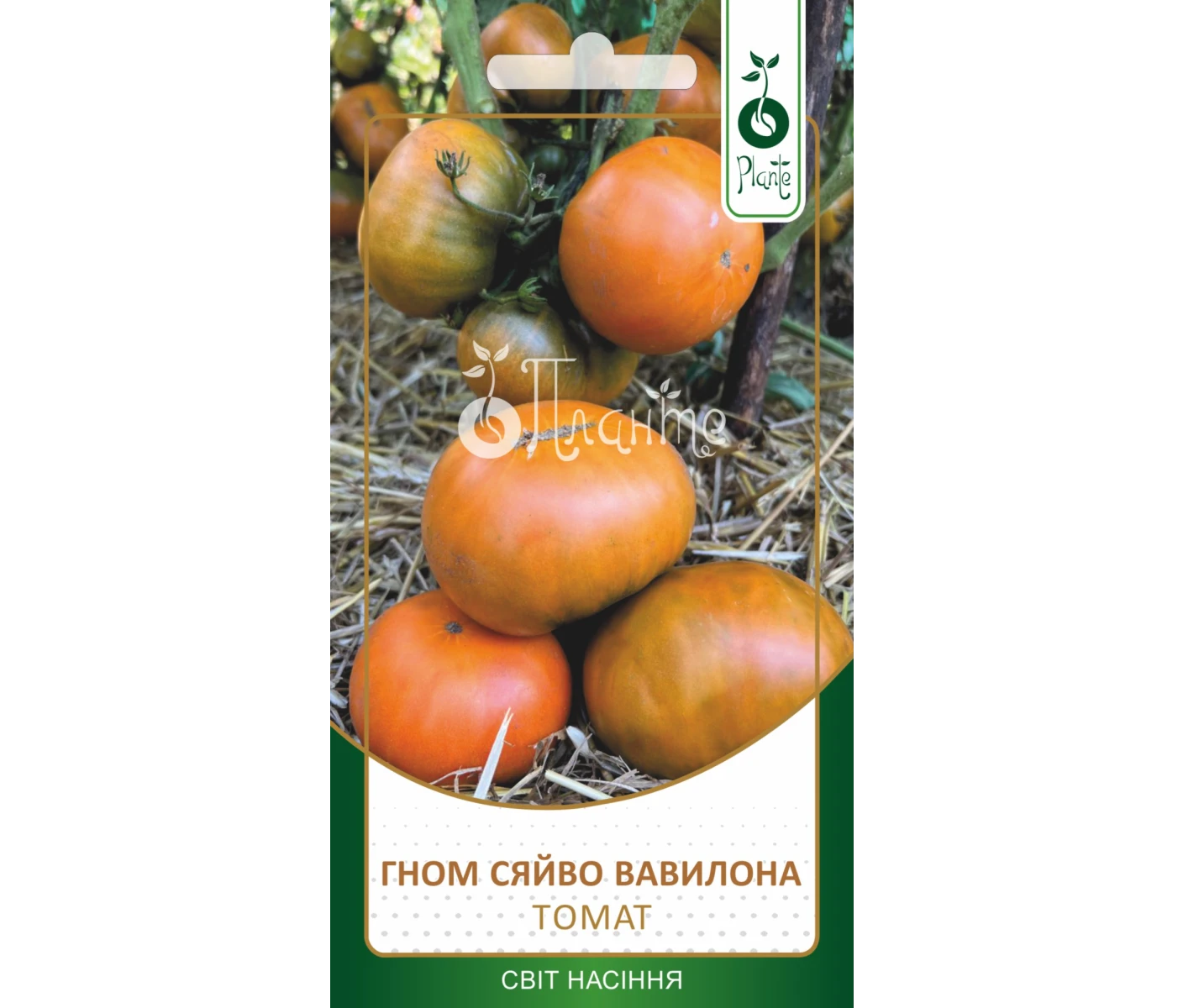 Томат Гном Сяйво Вавилона 0,05г_1