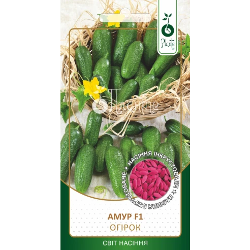 Огірок "Амур F1" (Інкрустоване)