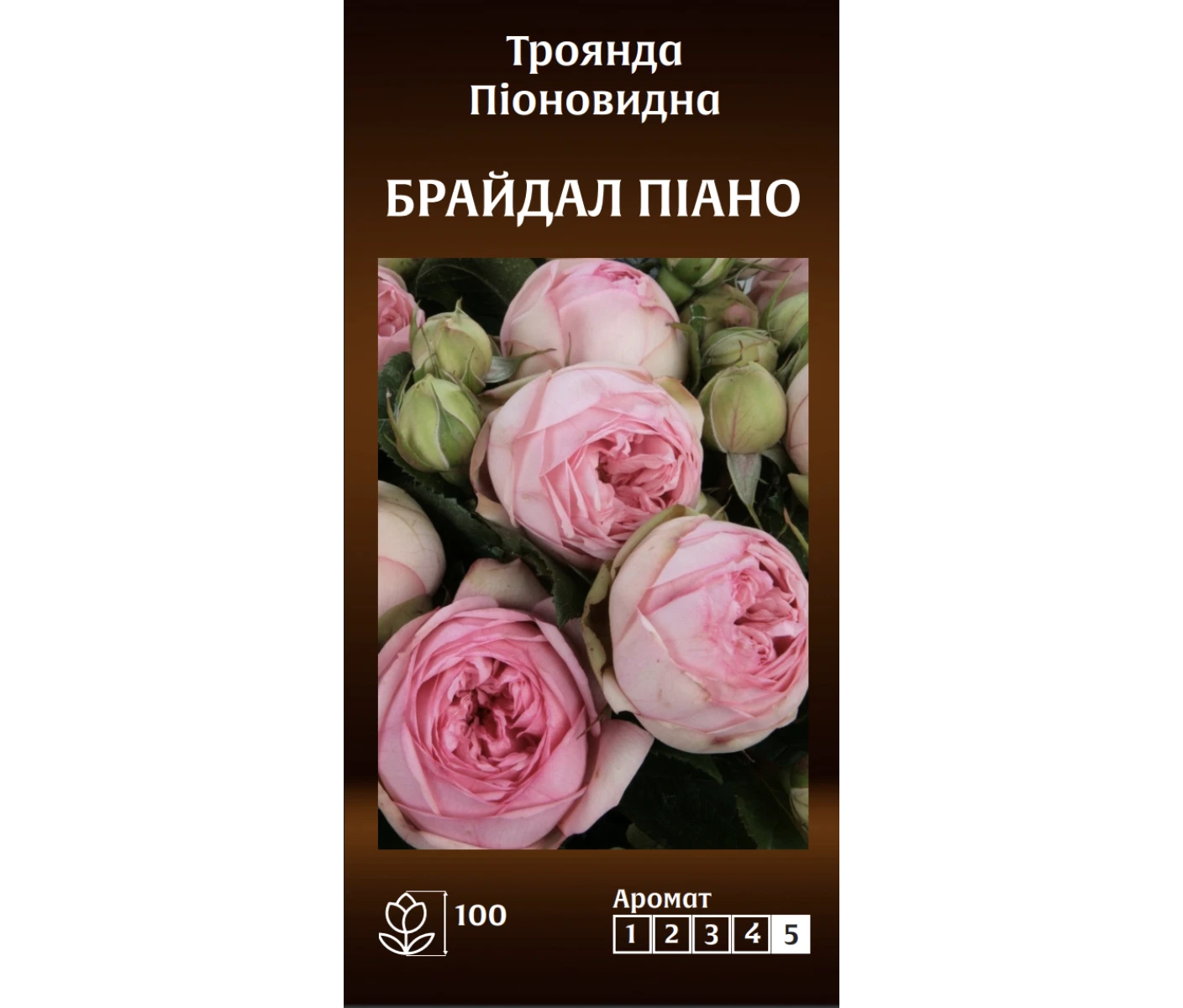 Знімок екрана 2025-03-18 092205