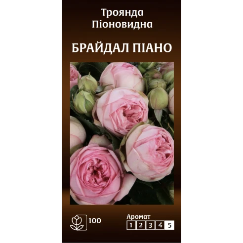 Піоновидна Брайдал Піано