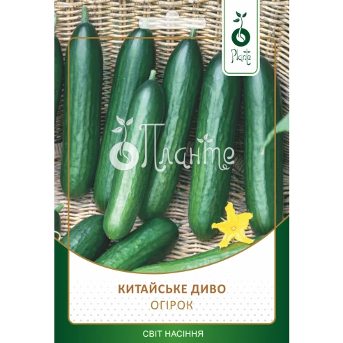 Огірок "Китайське диво"
