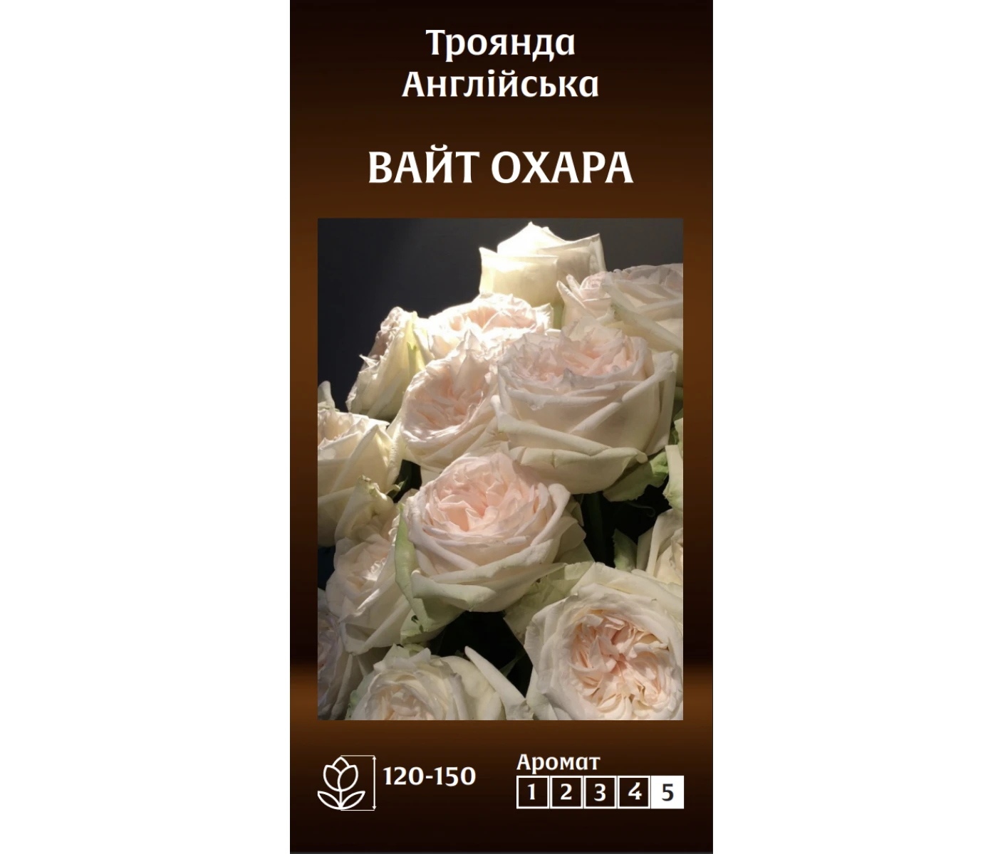 Знімок екрана 2025-03-18 094102