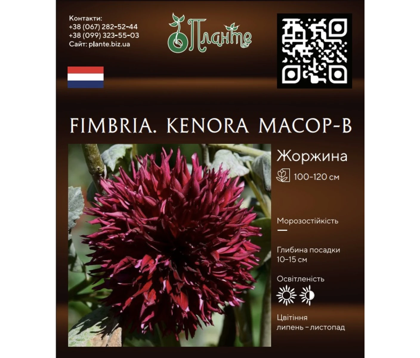 Знімок екрана 2025-04-11 200846