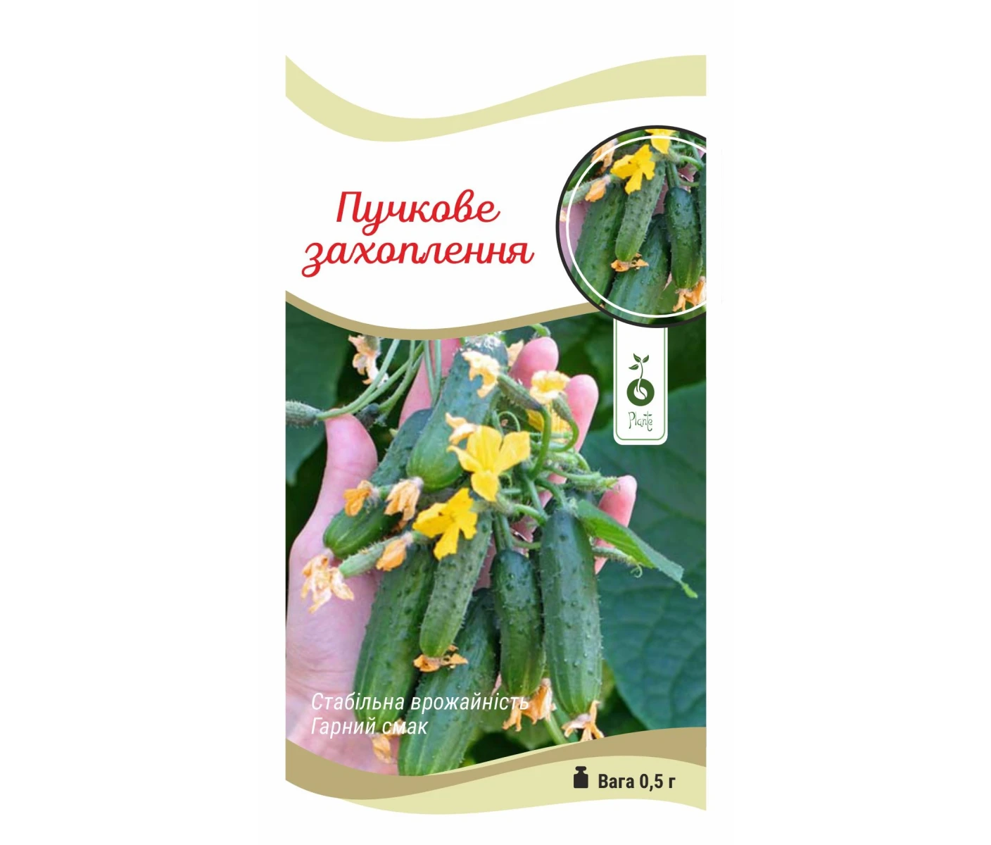 Огірок Пучкове захоплення F1 (2)