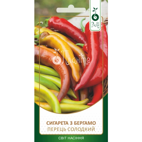 Перець солодкий "Сигарета з бергамо"