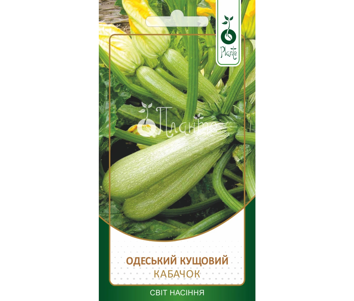 Кабачок Одеський кущовий 2г