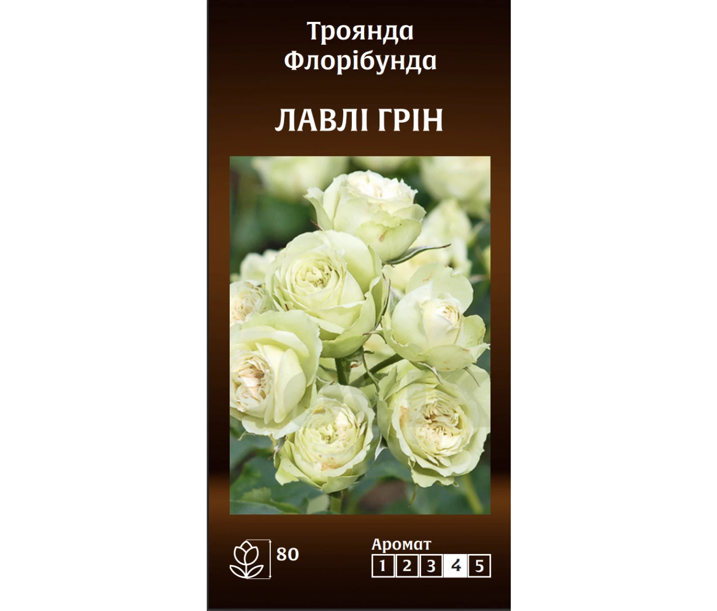 Знімок екрана 2025-03-18 090200