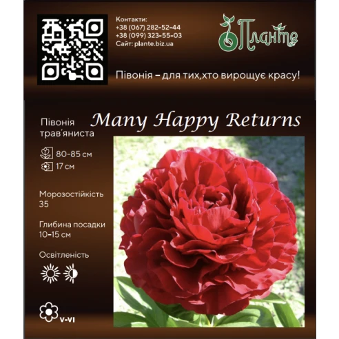 Many Happy Returns 3/5