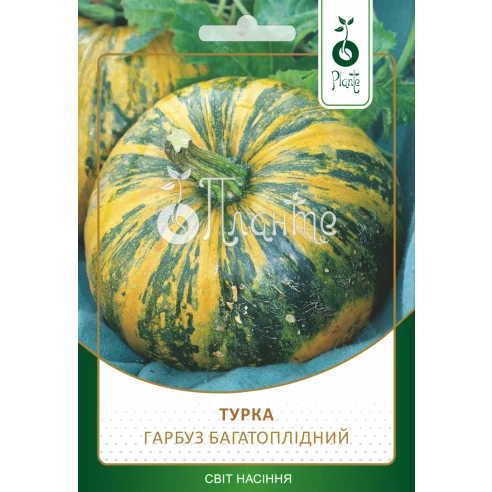 Гарбуз багатоплідний "Турка"