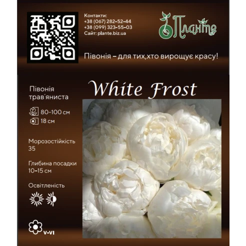 White Frost 3/5