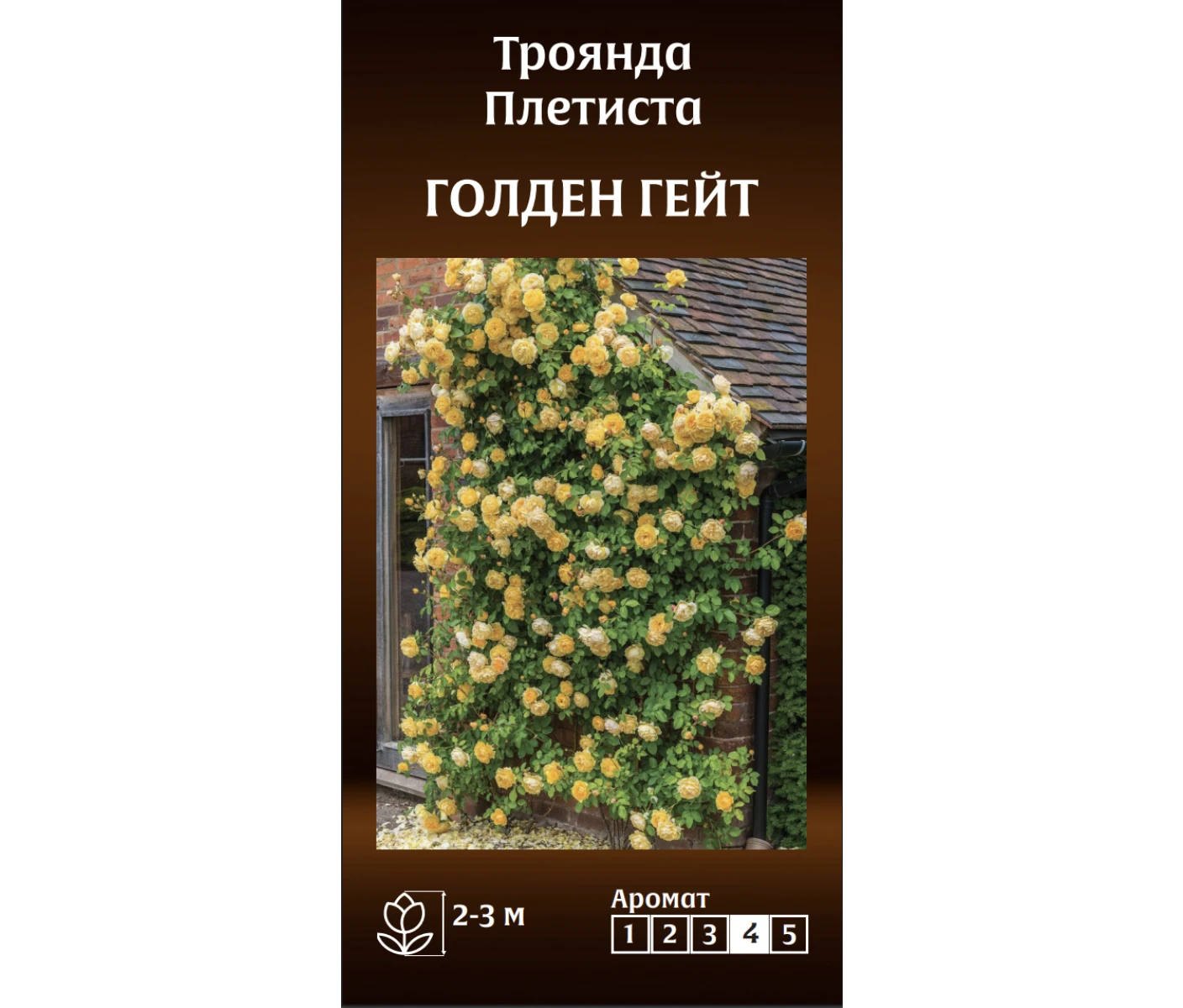 Знімок екрана 2025-03-18 092957