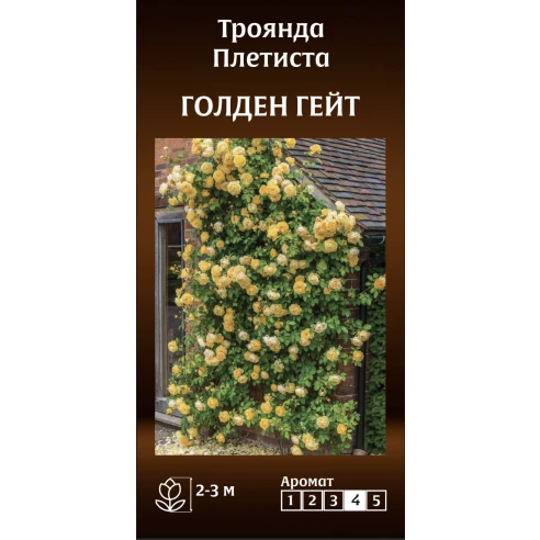 Плетиста Голден Гейт