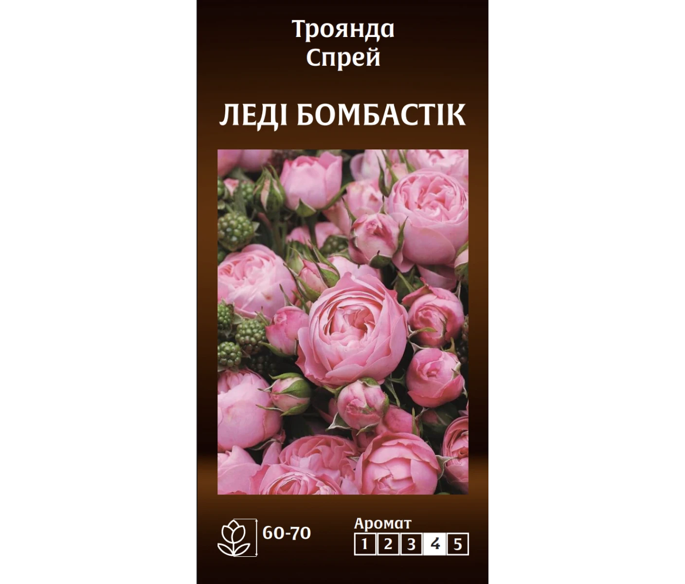 Знімок екрана 2025-03-18 091235