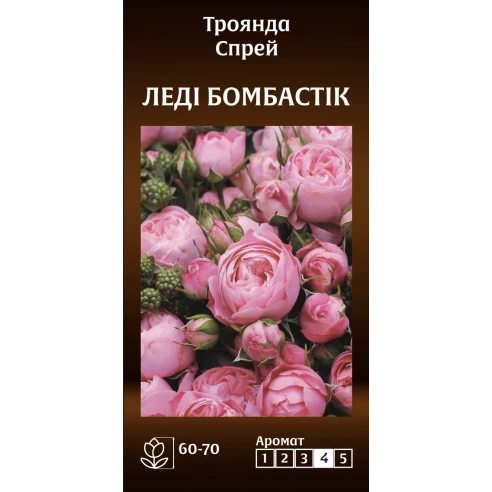 Спрей Леді Бомбастік