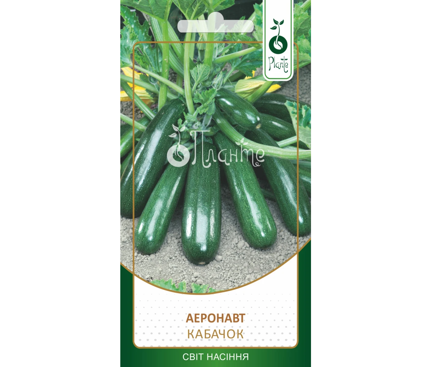 Кабачок Аеронавт 2г