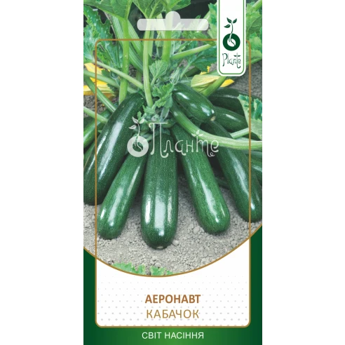 Кабачок "Аеронавт"