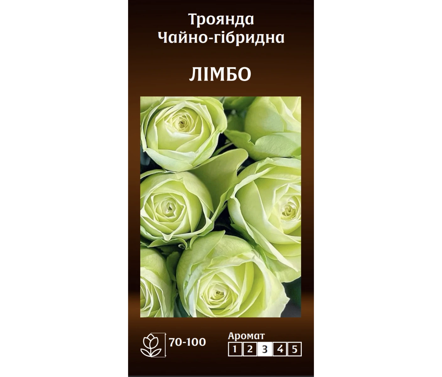 Знімок екрана 2025-03-18 083742