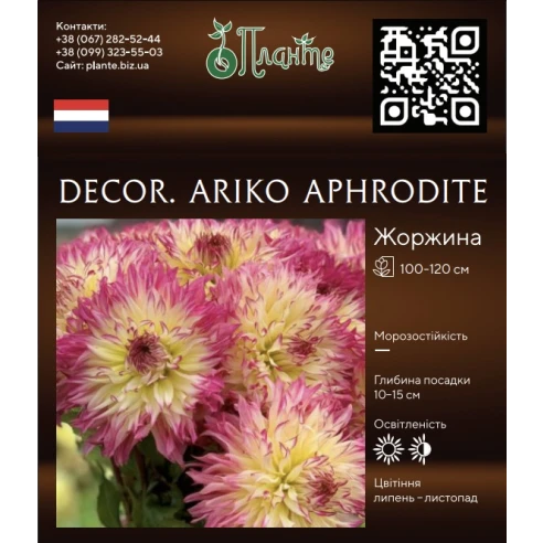 Decor. Ariko Aphrodite