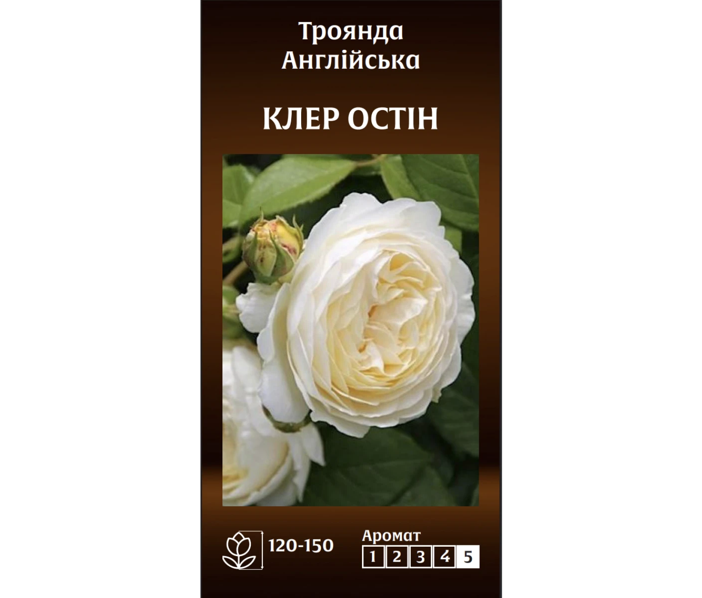 Знімок екрана 2025-03-18 093626