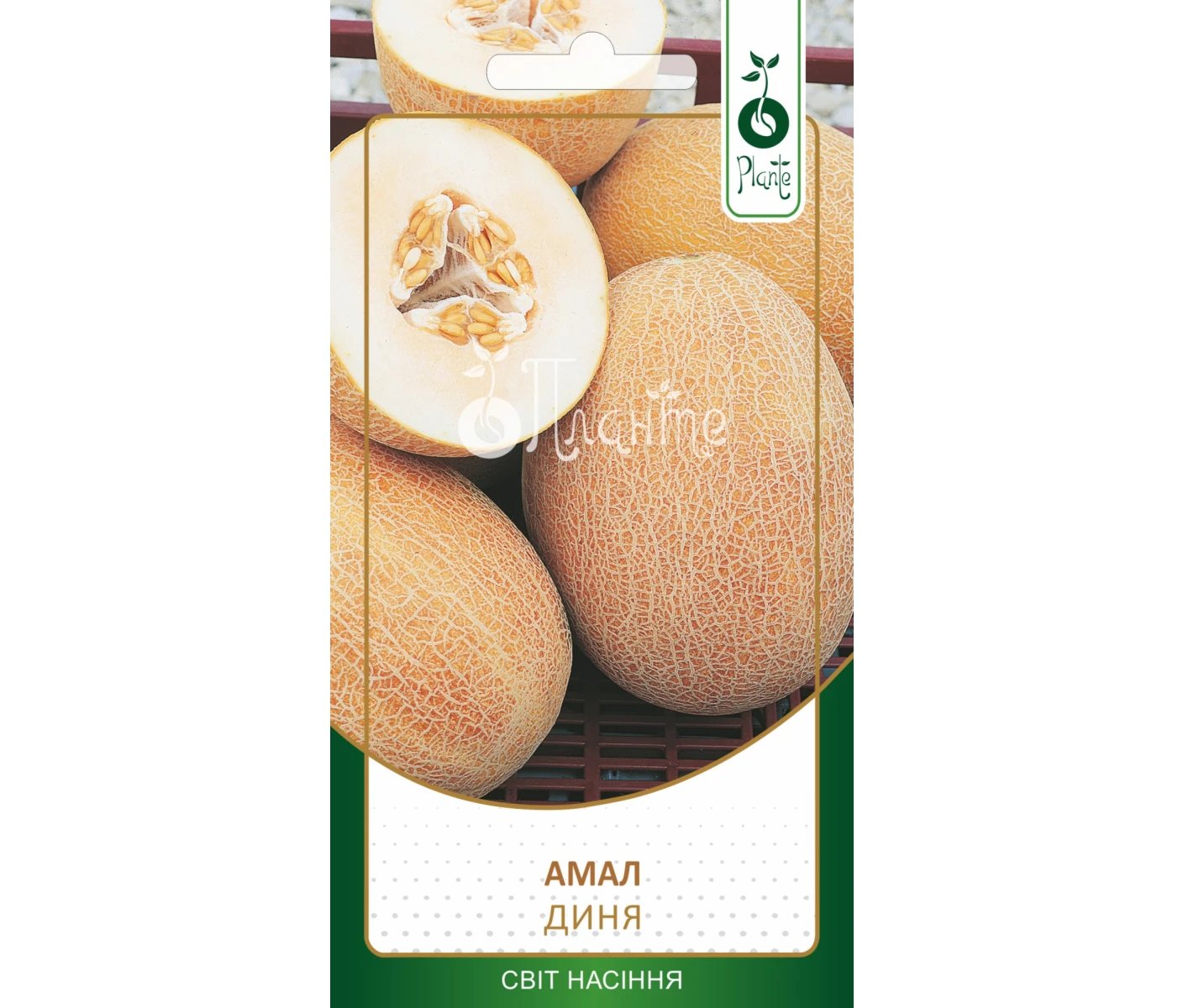 Диня Амал 1г