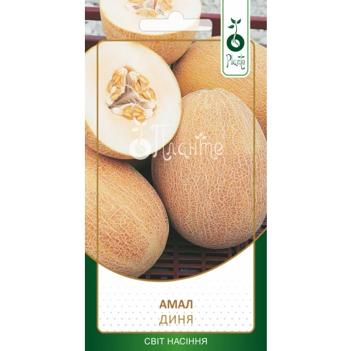 Диня "Амал"