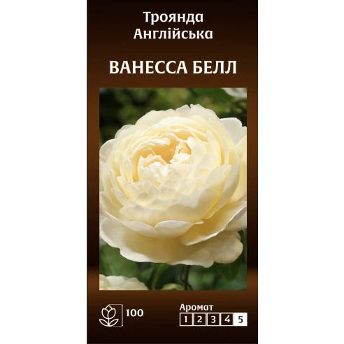 Англійська Ванесса Белл