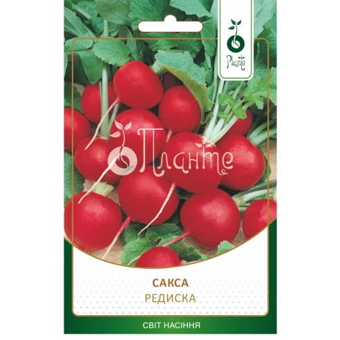 Редиска Сакса