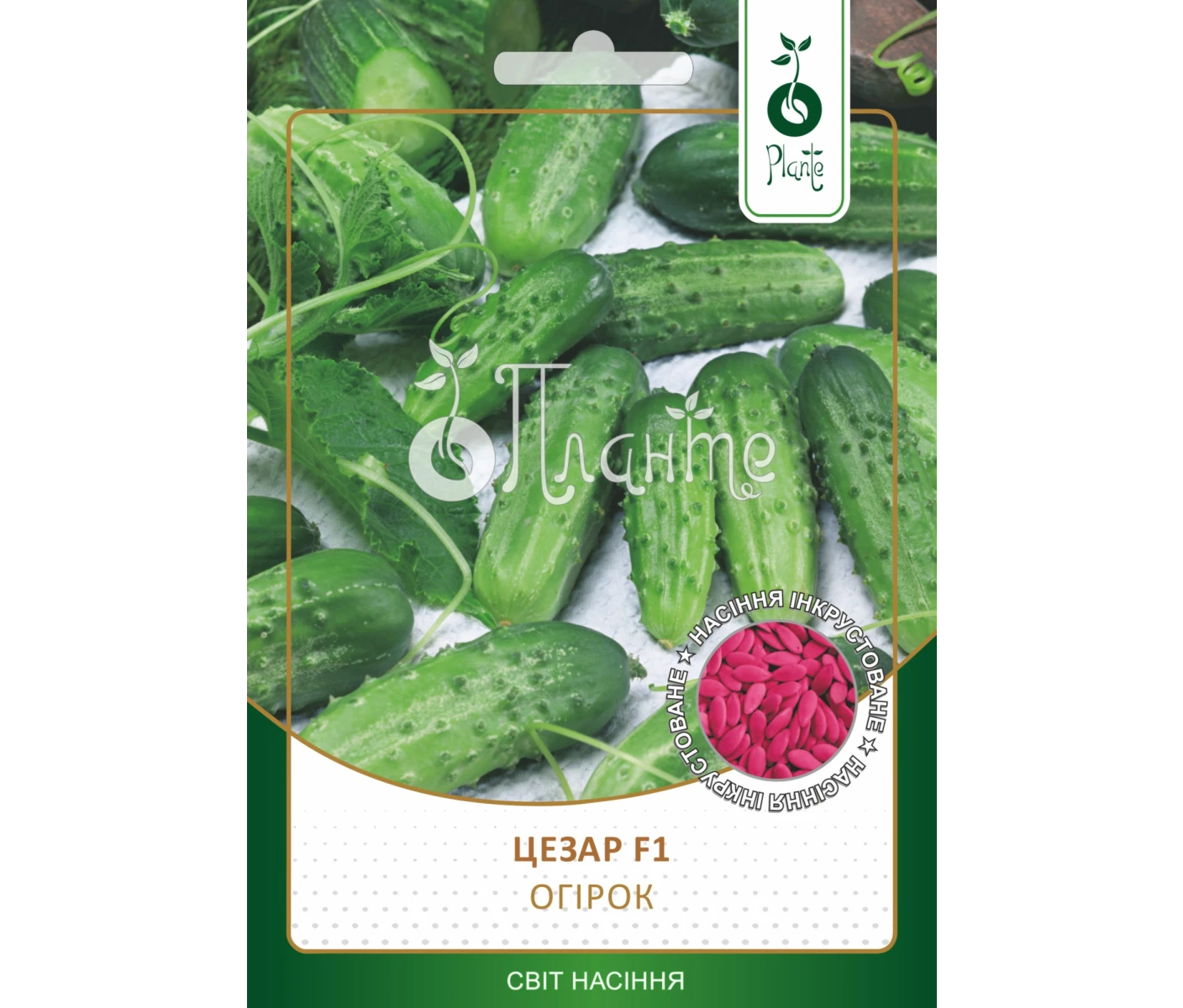 Огірок Цезар