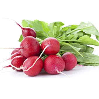 Редиска (малий європакет)