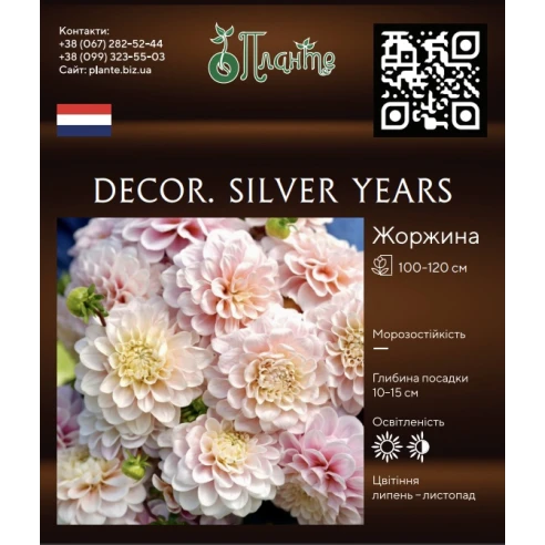 Decor. Silver Years