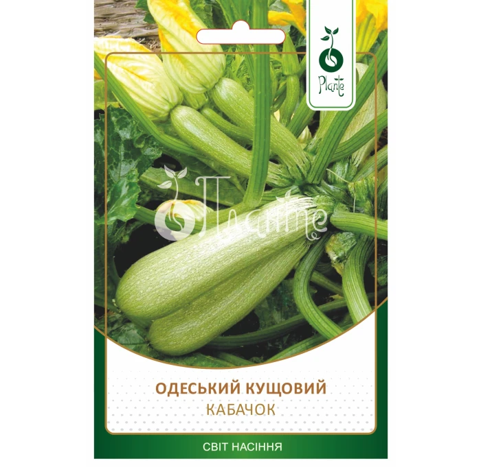Кабачок Одеський кущовий 15г_1
