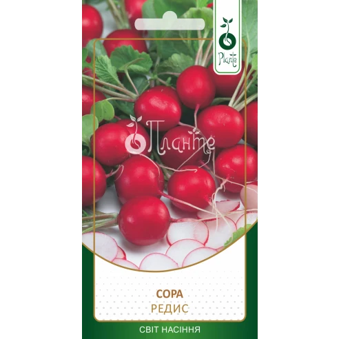 Редиска "Сора"