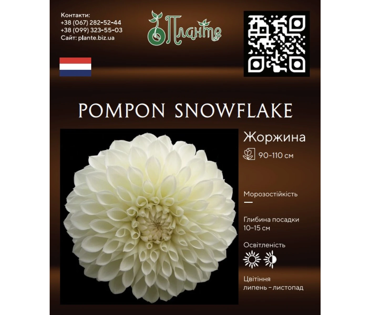 Pompon Snowflake
