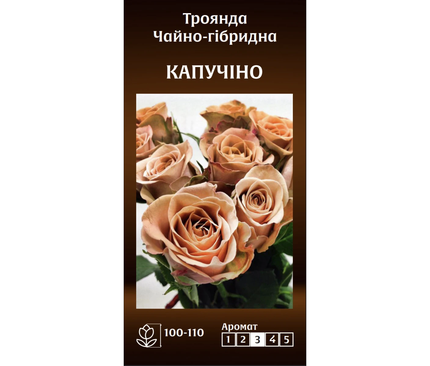 Знімок екрана 2025-03-18 084353