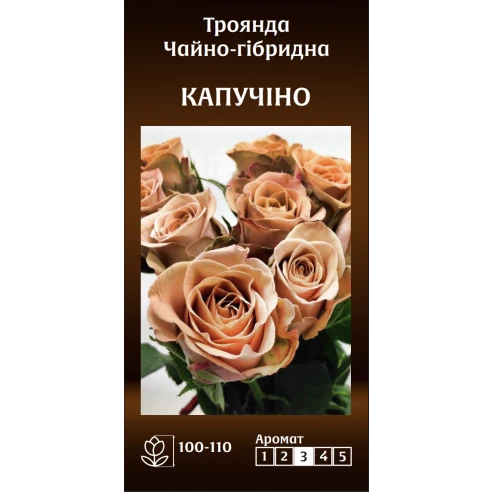 Чайно-Гібридна Капучіно