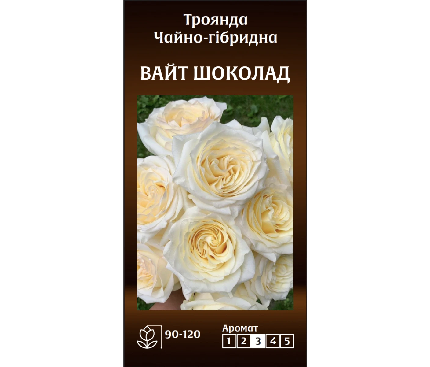 Знімок екрана 2025-03-18 085114