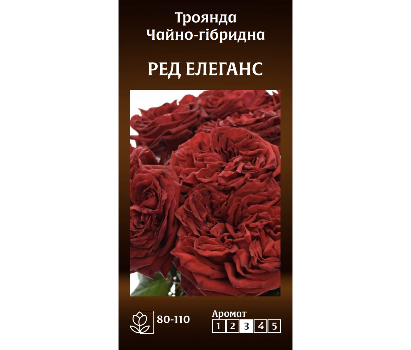 Знімок екрана 2025-03-18 081608