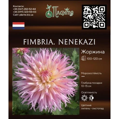 Fimbria. Nenekazi