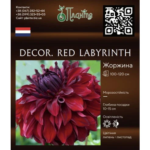 Decor. Red Labyrinth