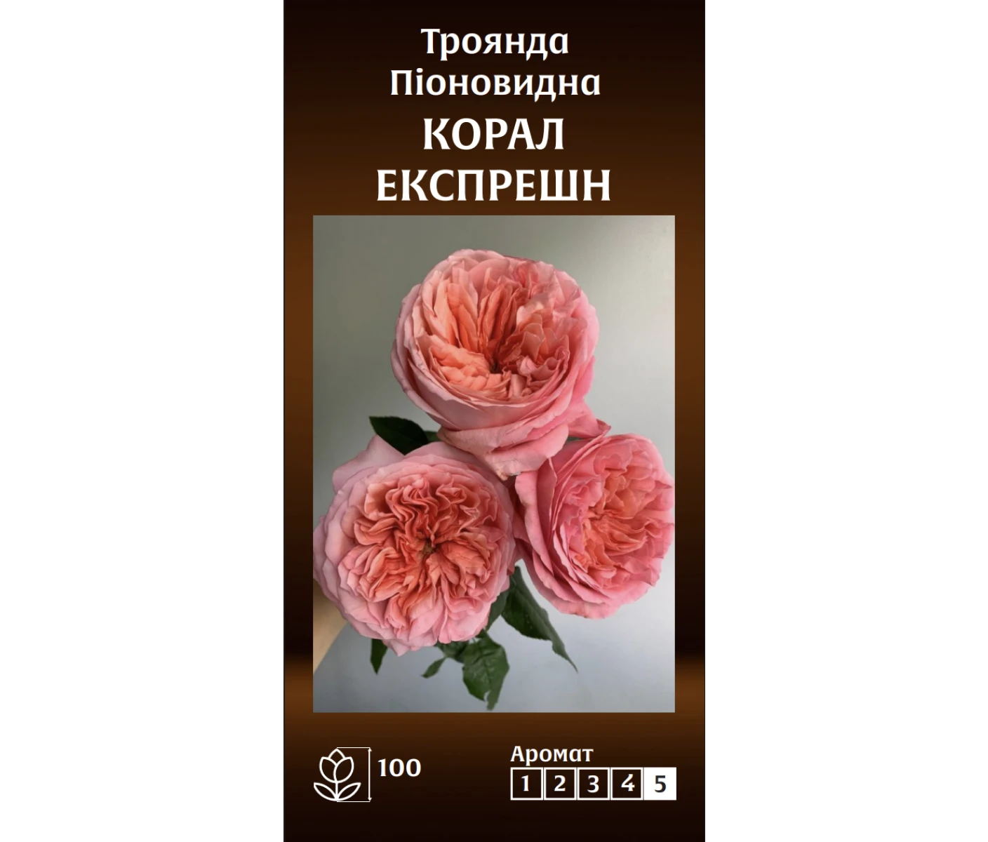 Знімок екрана 2025-03-18 091744