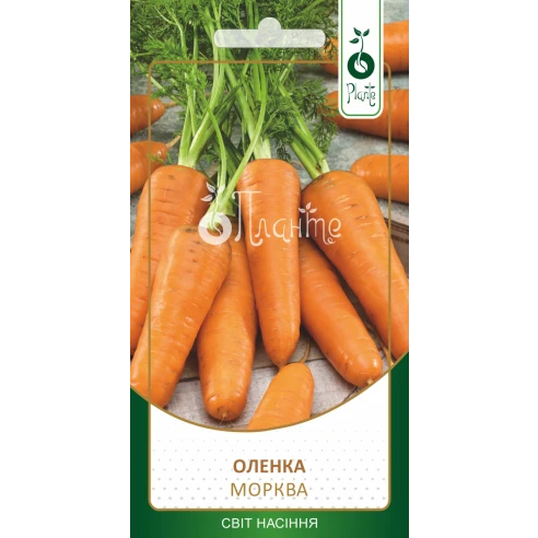 Морква "Оленка"