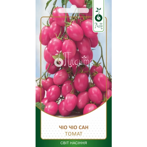 Томат "Чіо-чіо-сан"