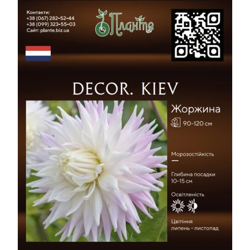 Decor. Kiev