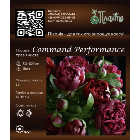 Command Performance 3/5