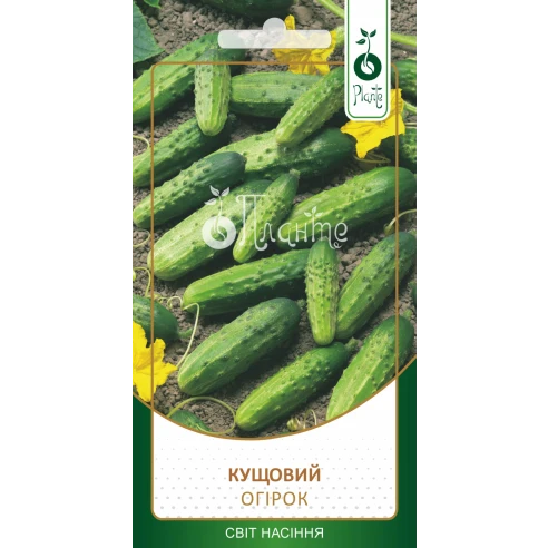 Огірок "Кущовий"